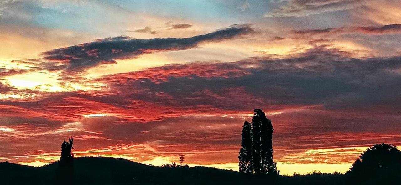 Redhill Cooma Motor Inn Dış mekan fotoğraf